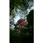 Frühlingsfarben im Park Haus Meer. Foto: Reinhard Lutum