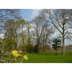 Frühling im Park Haus Meer. Foto: Eri Krippner