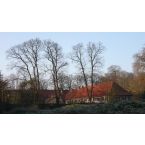 Wirtschaftshof von Haus Meer. Foto: Reinhard Lutum